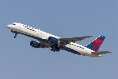 Delta Can Fly to New Highs in 2025; Here’s Why