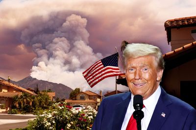 Republicans seek revenge with LA fires