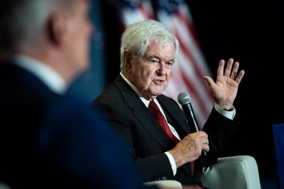 ‘They enrich all of our lives’: Newt Gingrich on immigrants and Trump’s deportation plans