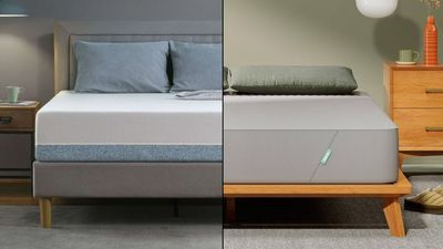 Zinus Green Tea vs Siena Memory Foam: Which cheap mattress should you buy?