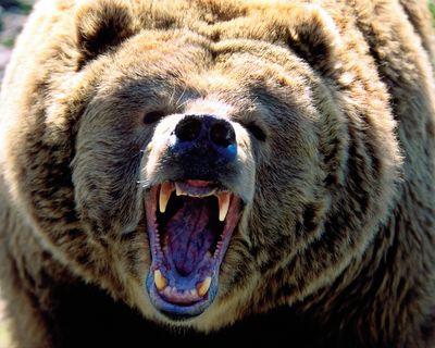 Stocks Tumble: If You’re Reading This, It’s Not Too Late