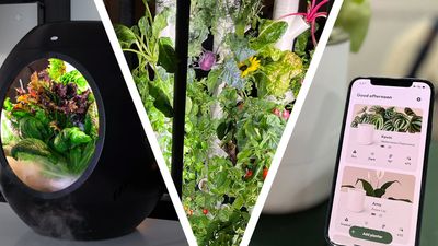 I can't wait to try out these 3 great plant tech gadgets that I saw at CES 2025