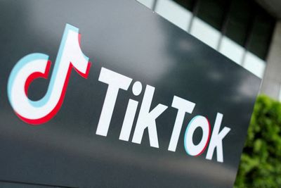 TikTok says reports of potential sale to Elon Musk are ‘pure fiction’