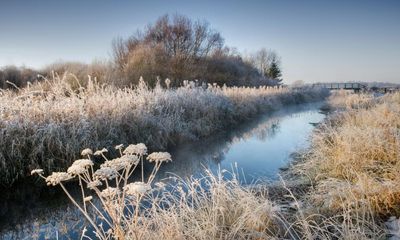 Ministers to appeal against river pollution ruling won by Yorkshire anglers