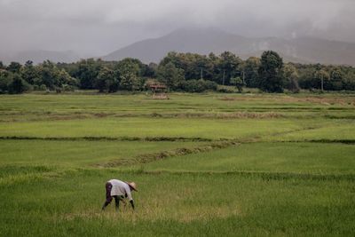 Nobel prize winners call for urgent ‘moonshot’ effort to avert global hunger catastrophe