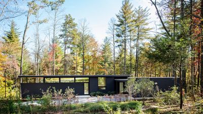 Cabin House is a simple modernist retreat in the woods of North Carolina