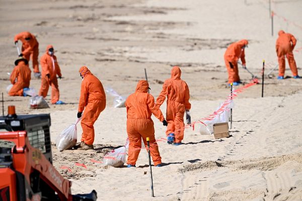 Nine Sydney beaches closed after mysterious marble-sized balls wash up ashore