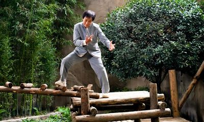 Panda Plan review – Jackie Chan on fighting form in a goofy cute-animal rescue yarn