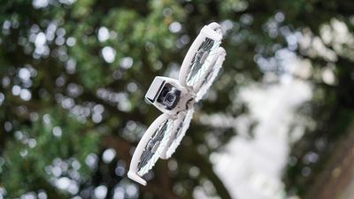 DJI Flip review: The ultimate beginner drone with pro-level performance