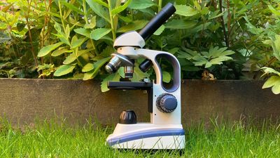 Swift SW200DL Compound Monocular Microscope Review