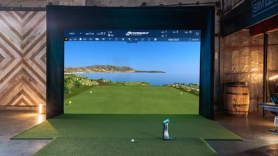 How Do Golf Simulators Work?