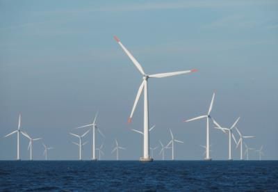 Trump Administration Plans To Halt Offshore Wind Turbine Activities