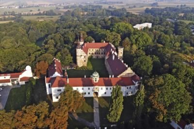 Polish Town Woos Elon Musk With Historic Castle Offer