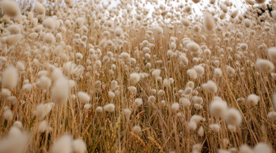 Greener Future for Fashion: Discovering OMNES' ECOVERO™ Viscose