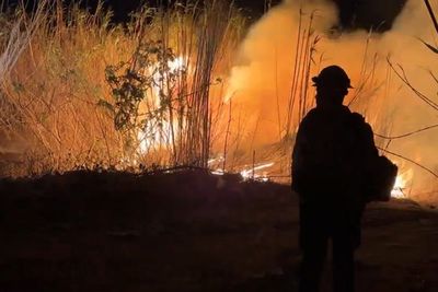 Watch: Team of 75 firefighters tackle fast-moving California Auto-Fire