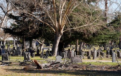 Octavia Butler imagined LA ravaged by fires. Her Altadena cemetery survived