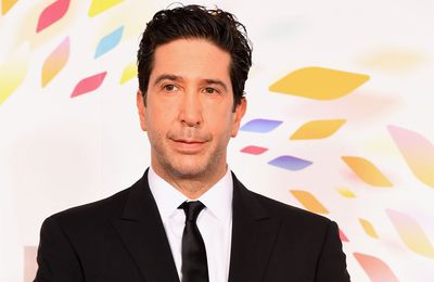 David Schwimmer served Rod Stewart with divorce papers