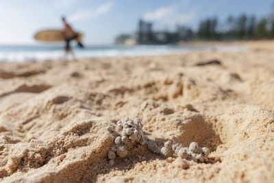 Ball-shaped debris washes up at Sydney’s Bondi, Coogee, Maroubra and Cronulla beaches