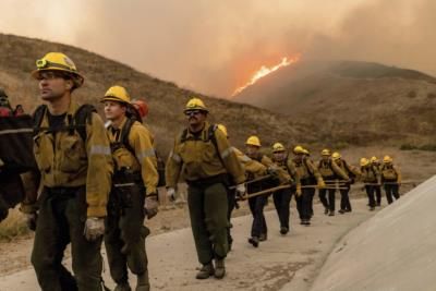 LAFD Criticized For Response To Palisades Fire