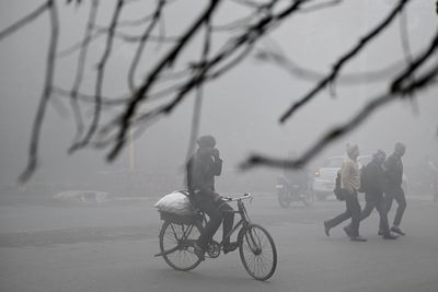 Nearly 200 flights delayed as thick fog descends over Delhi