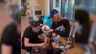 Paris Hilton steps in to foster dog after Los Angeles wildfires force owners to give her up