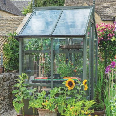 Are greenhouses worth it? 5 of the best benefits for your most productive garden yet