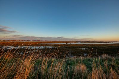 Nature reserve built with help of soil from Crossrail scheme is to expand