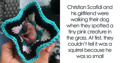 This Man Rescued A Tiny Creature, So Small They Didn’t Know It Was A Squirrel At First