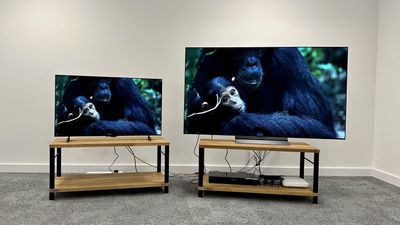 I test OLED TVs for a living – and trust me, different sizes perform differently