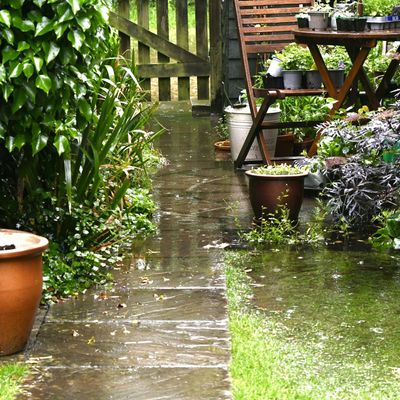 How to improve drainage in a garden — 4 DIY options drainage experts say will solve waterlogging