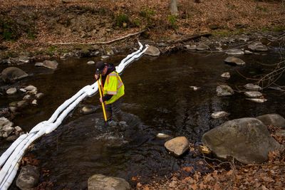 ‘I applaud the EPA’: agency launches formal review of five toxic chemicals