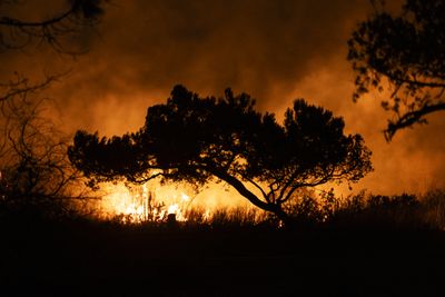 What to know about the LA Fire Department’s budget