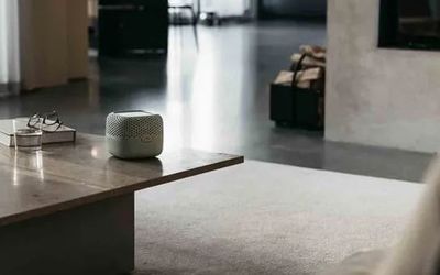 Best moisture absorber for eliminating muggy indoor air and weird smells
