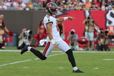 Former UGA punter signs with Buffalo Bills