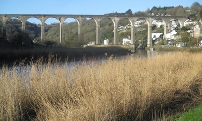 Country diary: A song thrush tentatively sings of spring