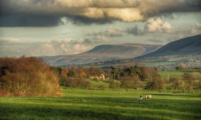 UK farmland being contaminated by ‘forever chemicals’ linked to cancers