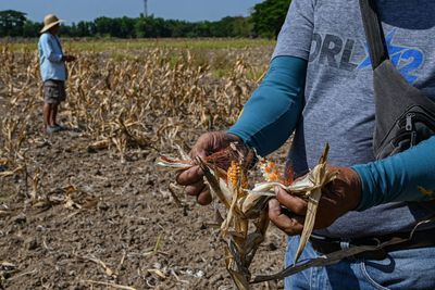Climate change already changing our diet