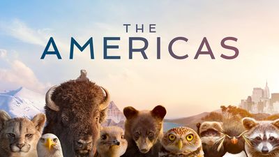 The Americas: release date, animals, locations, trailer, interview and everything about the Tom Hanks narrated nature series