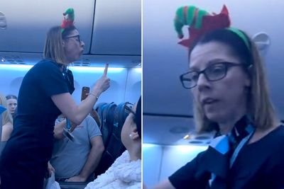 'Zip it!': Tui flight attendant praised for reaction to racist remarks as flight erupts into chaos