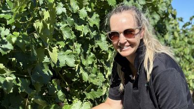 One in 10 grapes grown sustainably as winery goes green