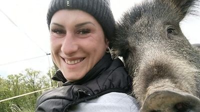 Adopted wild boar ‘Rillette’ can stay with owner, court rules – after threat to remove her sparks backlash