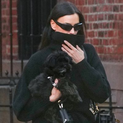 Irina Shayk Matches Her Sleeping Bag Coat and Margiela Tabi Boots to Her Yorkshire Terrier for a Chilly New York City Walk