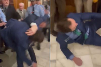 MAGA Georgia Republican Hurled to the Floor and Arrested While Trying to Crash Speech He Was Banned from Attending