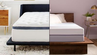 WinkBed Plus vs Purple Plus: Which mattress for heavy people is better for back pain?