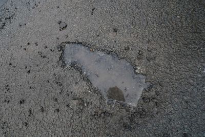 Commons committee chairman says local roads are ‘riddled with potholes’