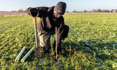 National Trust project to plant almost half a million trees this winter