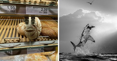 42 Most Interesting Images Picked By “The Decisive Moments Magazine” (New Pics)