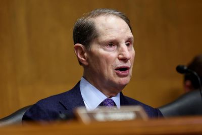 ‘It’s about being bold and gutsy’: Senator Ron Wyden on change in the age of Trump