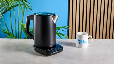 Ninja Precision Temperature kettle review: You’ll never need another kettle