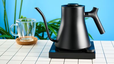 Fellow Stagg EKG review: This gooseneck kettle is premium in every way